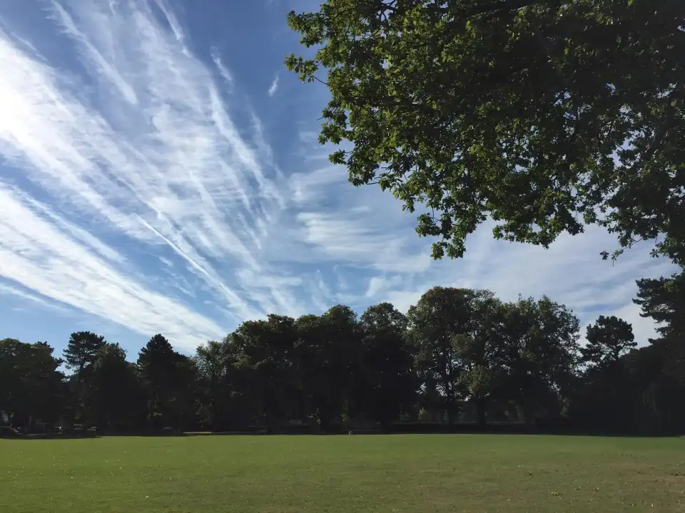 4_West Park