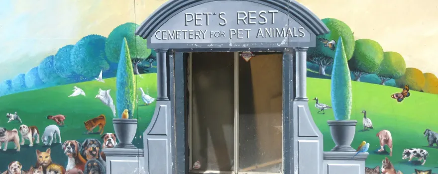 Pet's Rest, Inc.