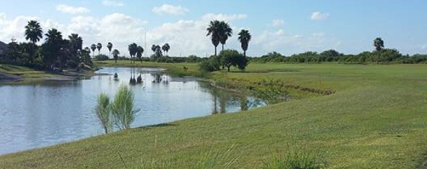 Laguna Vista