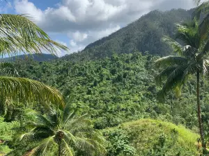 Alejandro de Humboldt National Park