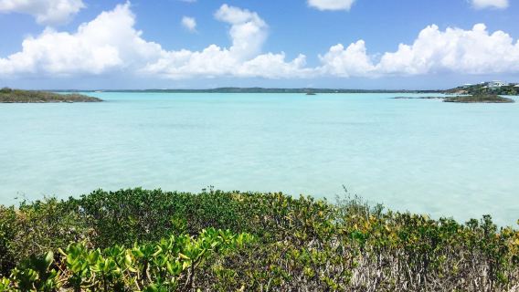 Chalk Sound Dr