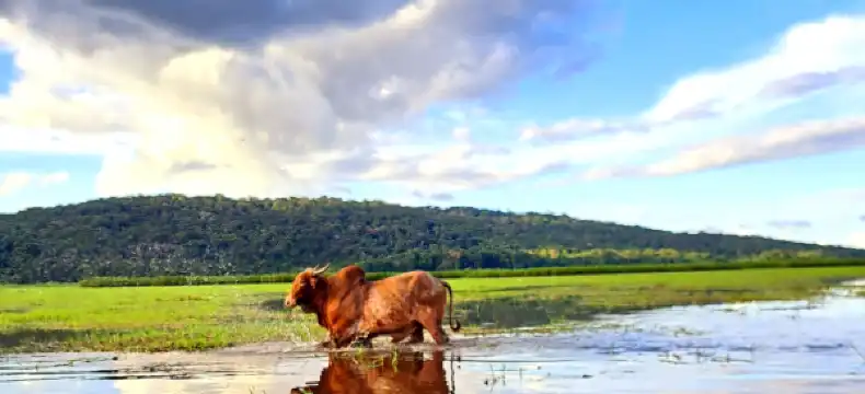 カイエンヌのホテル
