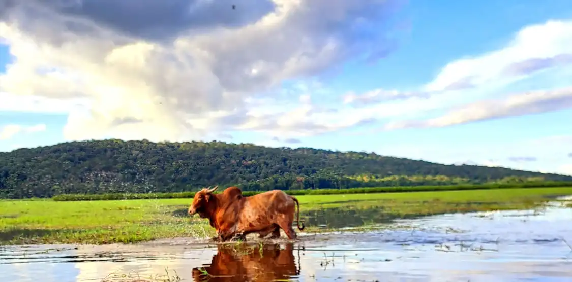 Hôtels à proximité de : Marais de Kaw