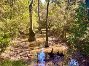Tickfaw State Park