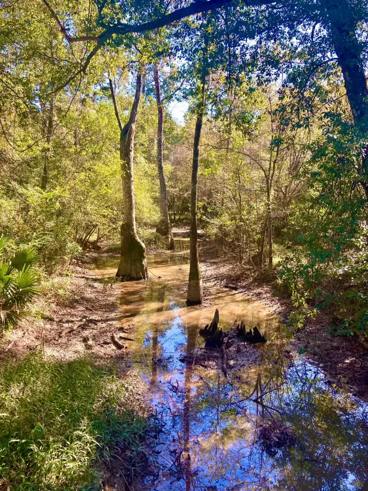 Các khách sạn ở Livingston Parish