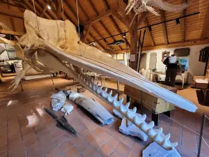 Heimatmuseum Borkum Dykhus