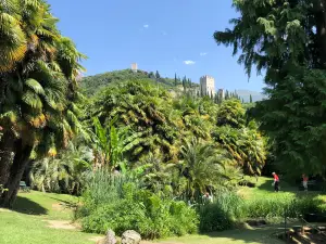 Arboretum of Arco - Former Archduke Park
