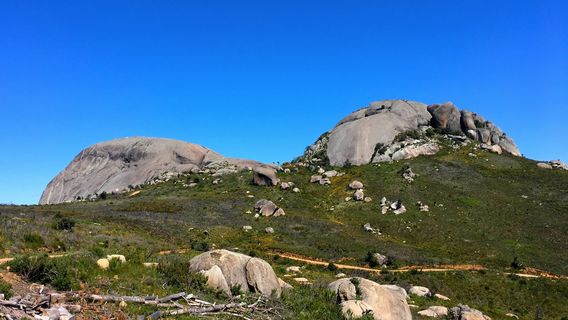Paarl Mountain Nature Reserve