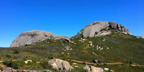 Paarl Mountain Nature Reserve