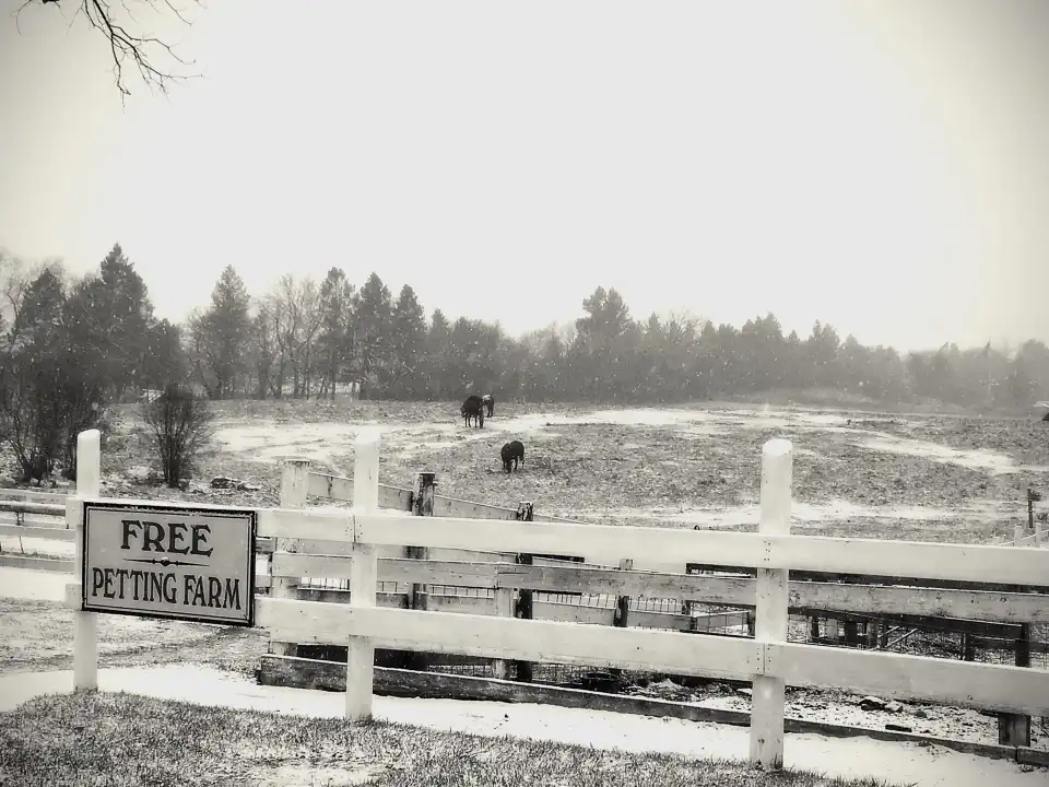 3_Dan Patch Stables