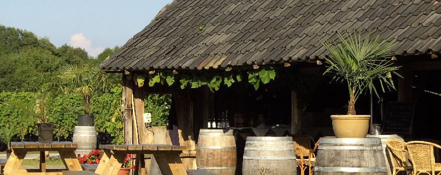 vineyard Hesselink