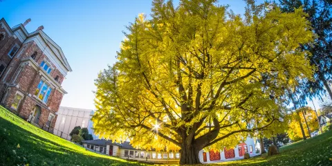 The Cayuga Museum of History and Art and Case Research Lab Historic Site