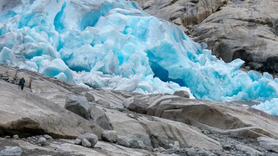 Nigardsbreen