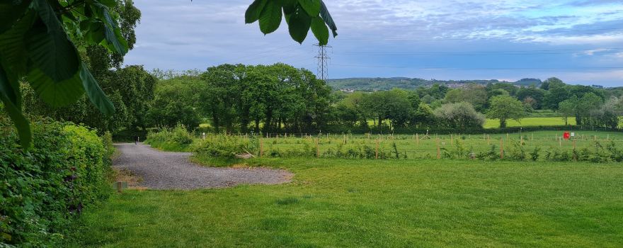 Twelve Oaks Farm