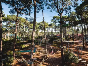 Bisc'aventure