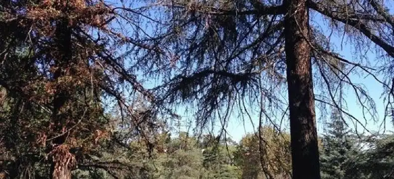 Hoteles en Condado de Sharp