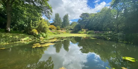Bonython Estate Gardens