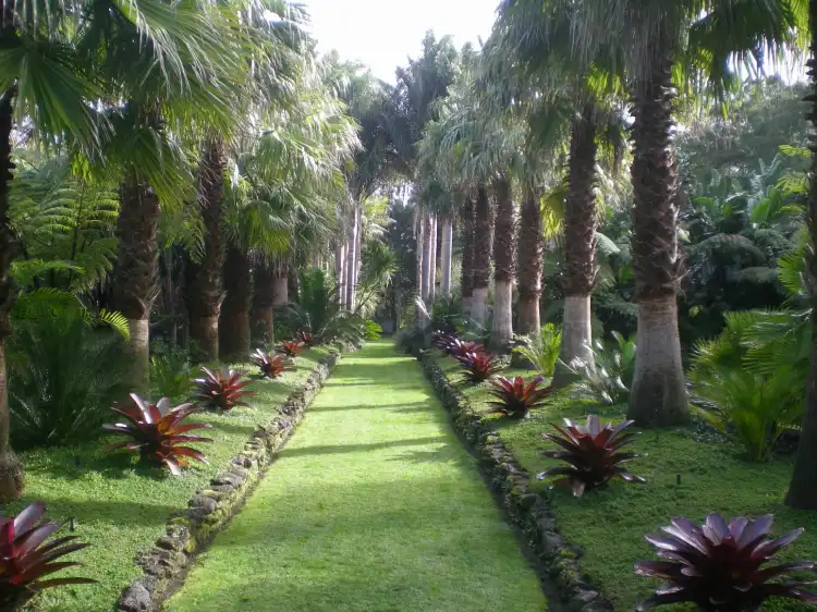 Hotels in der Nähe von Palmco Garden