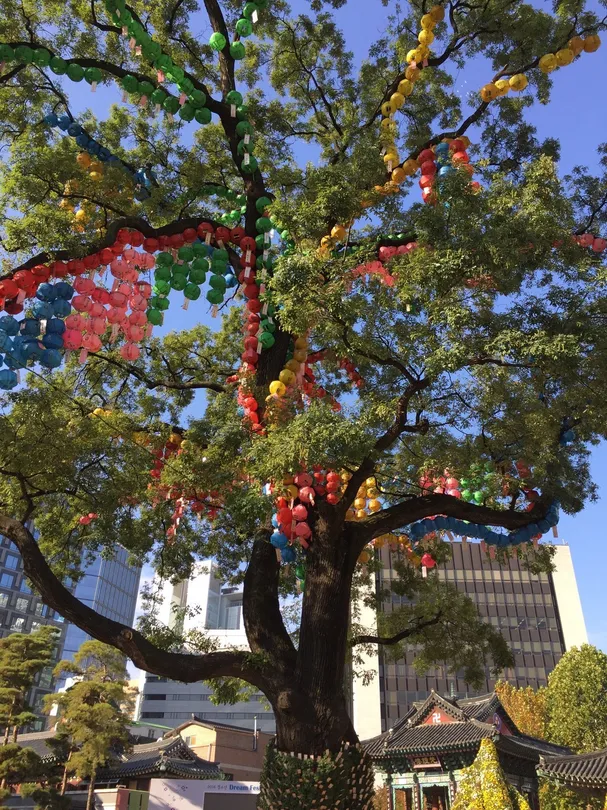 4_Buddhism Central Museum