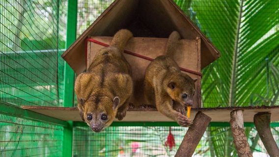 Alturas Wildlife Sanctuary