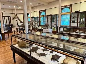 Working Men's Institute