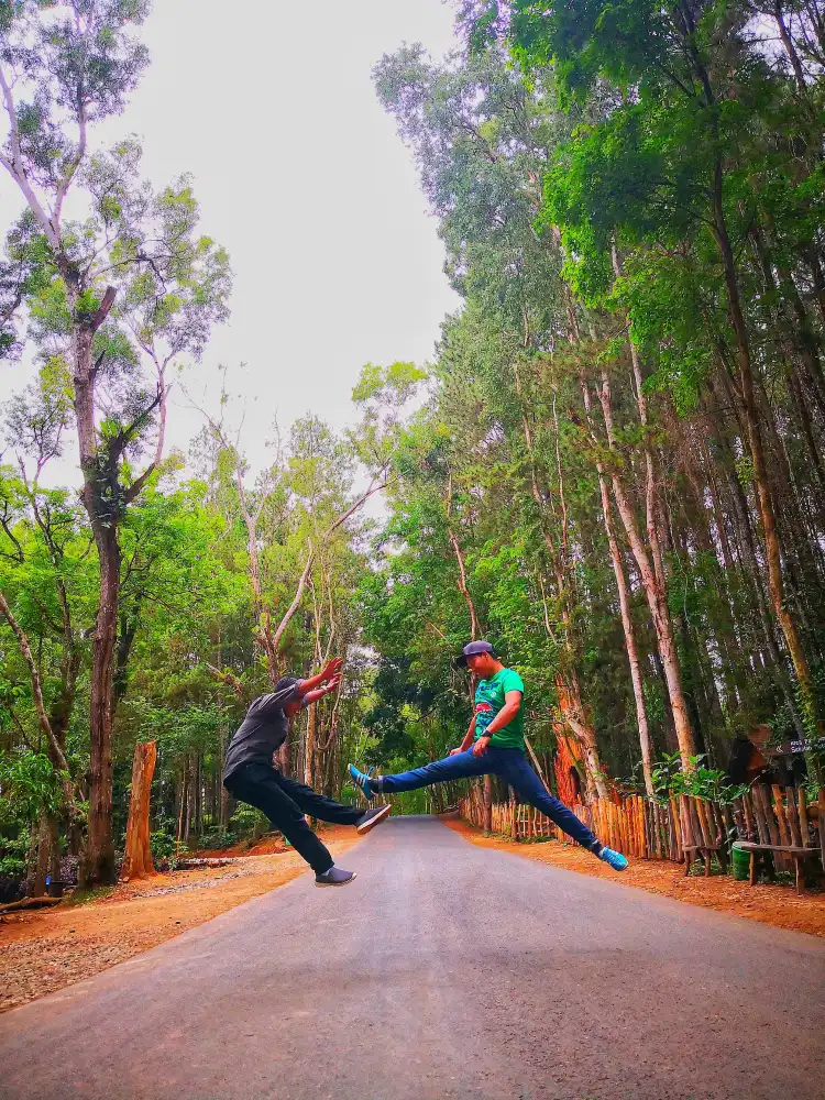 Hotel dekat Seribu Batu Songgo Langit