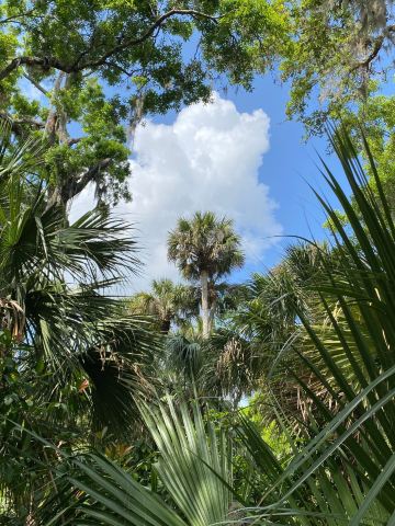 Erna Nixon Park