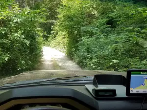 オレゴン・レッドウッズ・トレイル