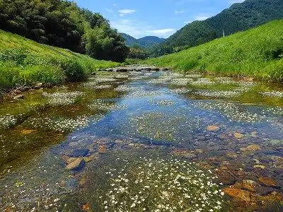 Shinonsen