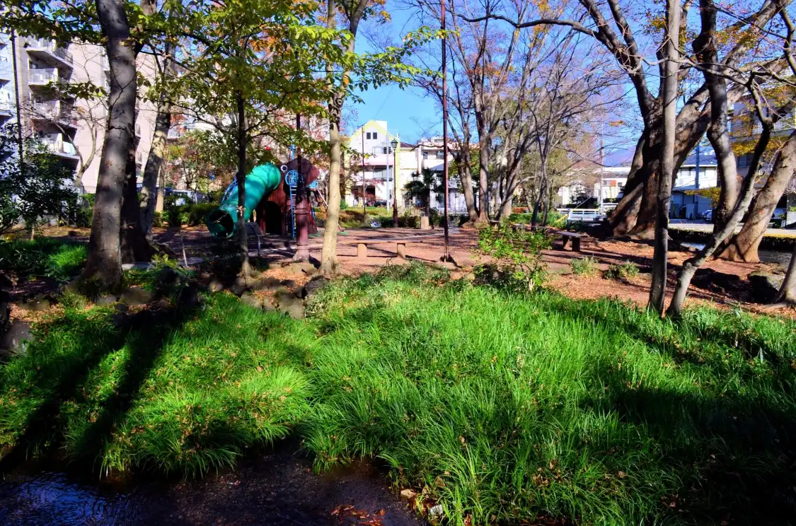 Hotels near Komoike Park