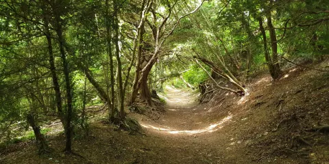 Bluebll Hill Picnic Site