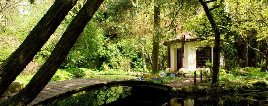Arboretum Przelewice
