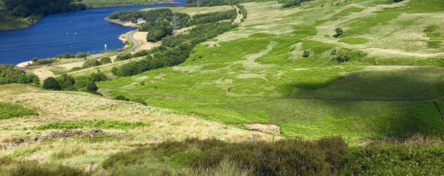 Tintwistle