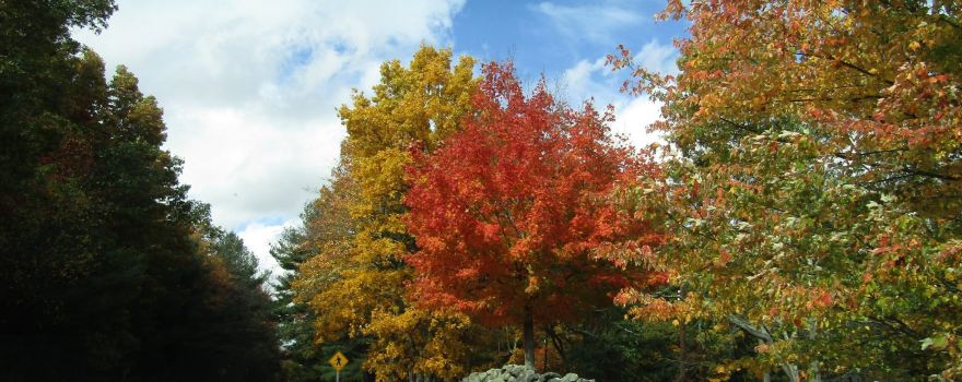 Minute Man Visitor Center