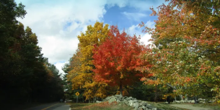 Minute Man Visitor Center