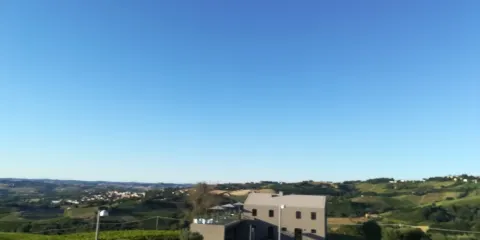 Cantina CasalFarneto