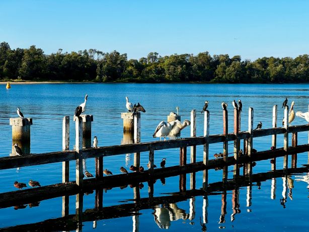 Lakes Entrance Beach