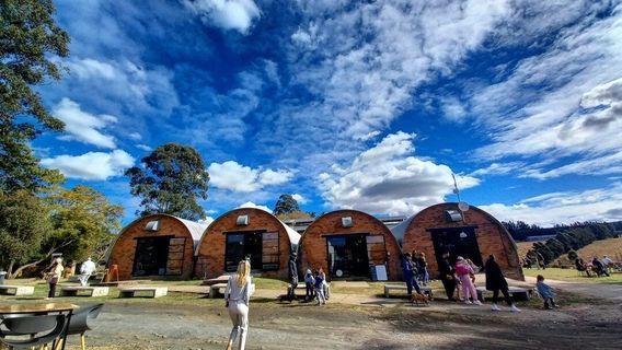 The Old Mushroom Farm