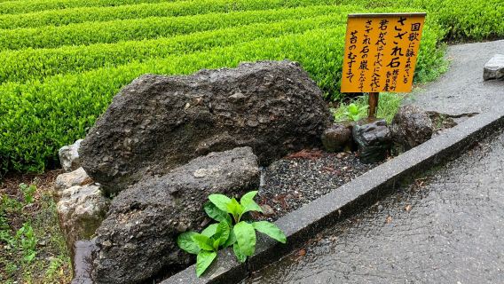 Machu Picchu in Gifu Tea Garden in the Sky