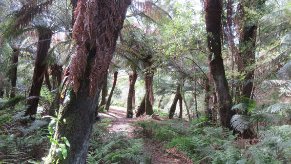 Barham Paradise Scenic Reserve