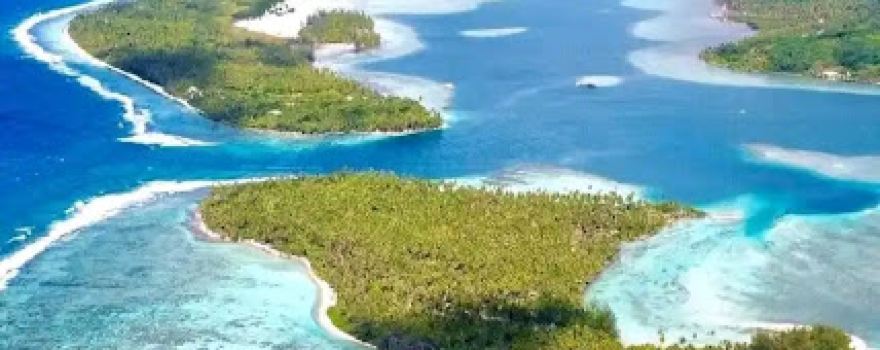B & Bee Meri Island - Huahine
