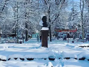 Park of Culture and Rest. Pushkin