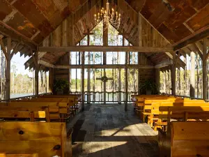 Rustic Pines