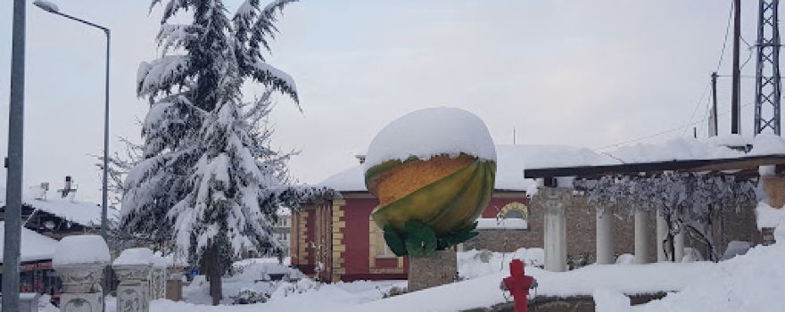 Bağrıbütün Parkı