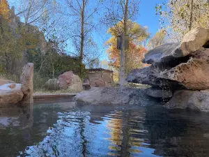 Gila Hot Springs and Campground