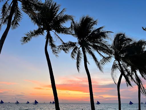 Wicked Squid Divers - Boracay