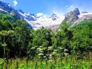 Tur'ye Ozero
