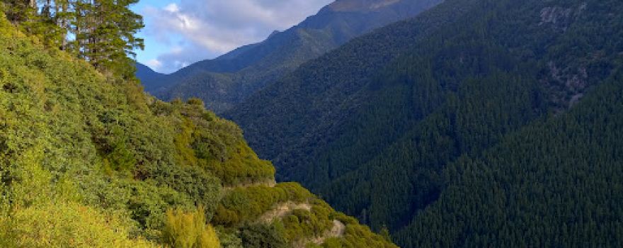 Wairoa Gorge Bike Park