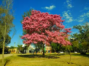 Aguirre Park