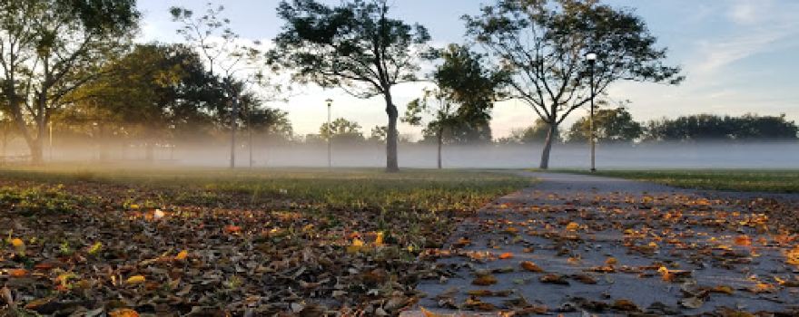 Concord Park